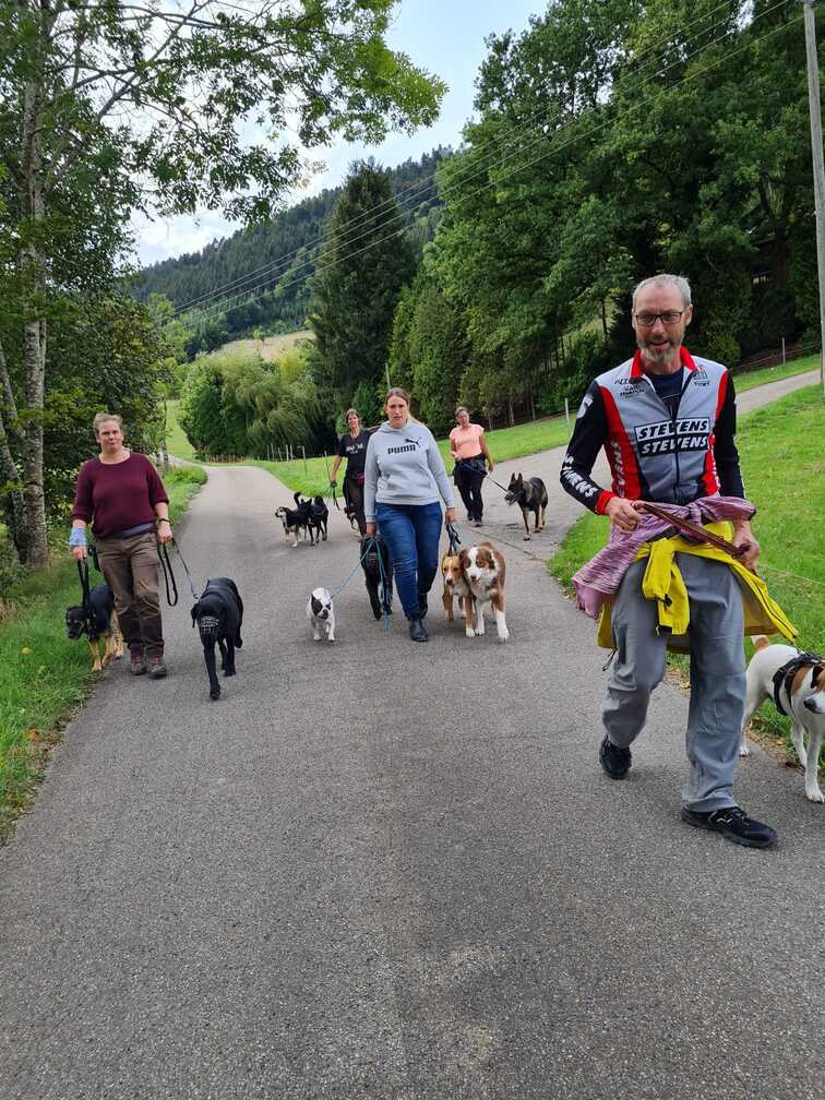 Hundewanderung-Sozialwalk