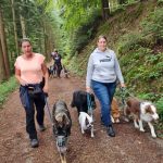 Hundewanderung-Sozialwalk