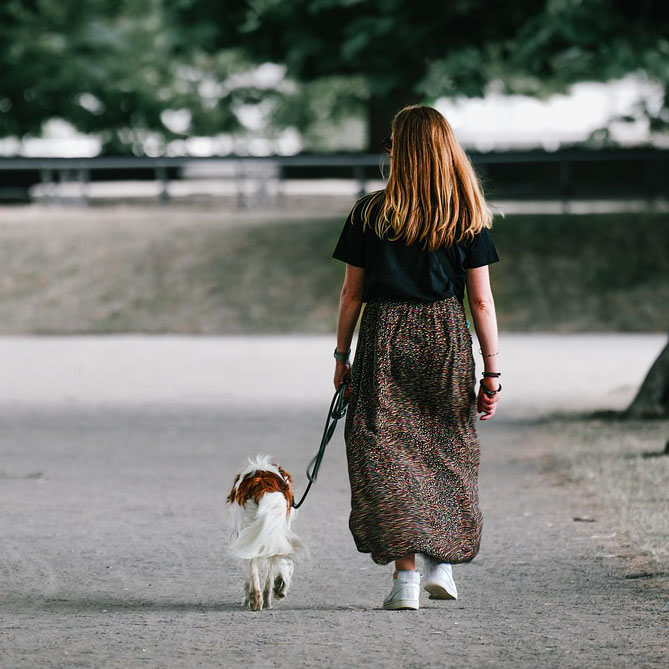 Gassi-Service Dogwalker im Raum Haslach