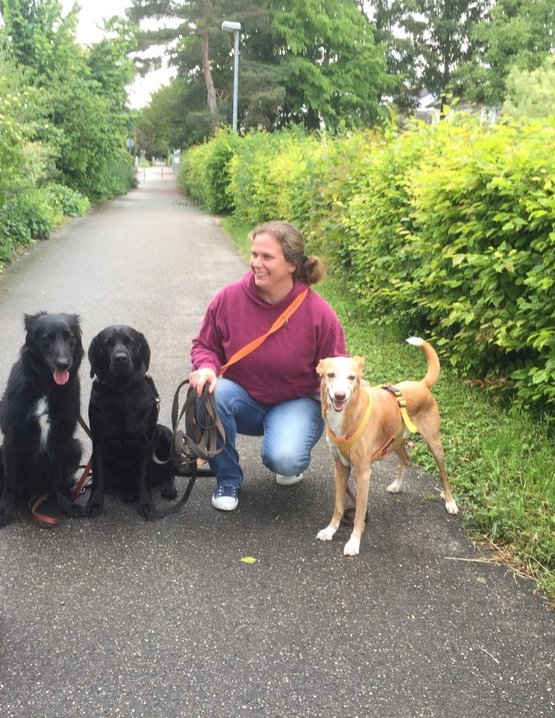 Hundetrainerin Silke von Aktive Schnauzen mit Hunden