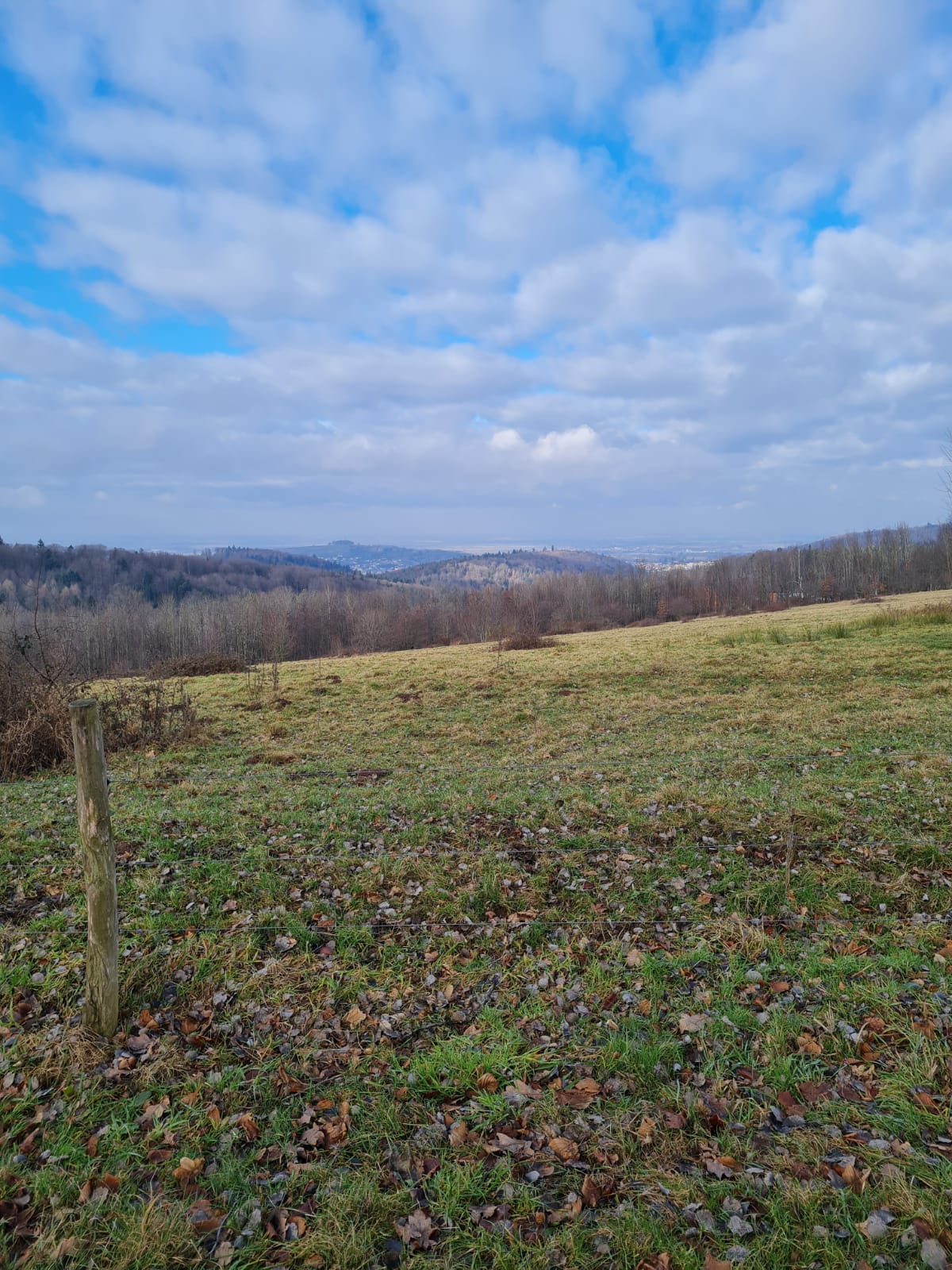 Panoramablick Hundeschule "Aktive Schnauzen"